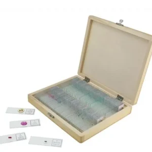 Tiêu bản tế bào thực vật